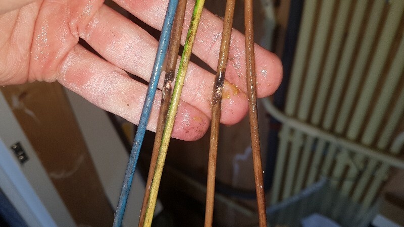 Afbeeldingslocatie: https://tweakers.net/i/4__IJsuDmELFWXclt3rUPM7dYd8=/full-fit-in/4920x3264/filters:max_bytes(3145728):no_upscale():strip_icc():fill(white):strip_exif()/f/image/SrOm7sZoCGPIeBIOzxDypBf0.jpg?f=user_large