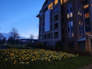 Cameratest Xiaomi 17 Ultra - Primair weinig licht