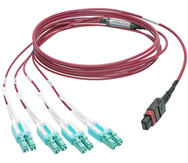 Tripp-Lite N845-03M-8L-MG