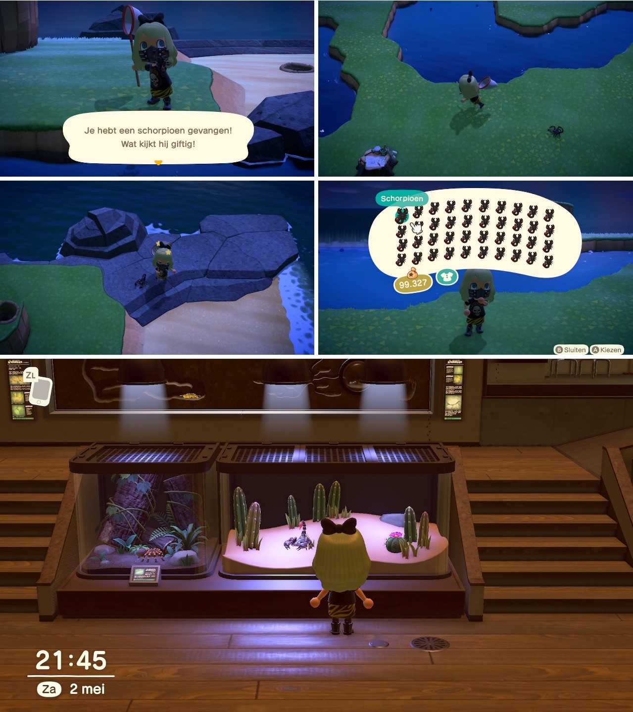 Animal Crossing - Schorpioen-eiland