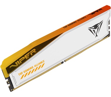 Patriot PVER548G60C36KT