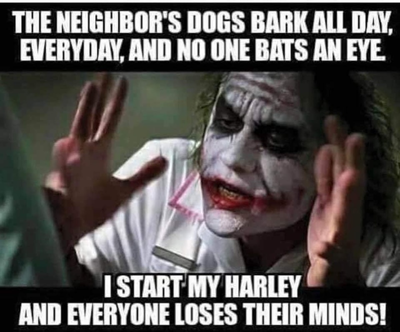 Afbeeldingslocatie: https://tweakers.net/i/4o0FNnc4c6XqBELdCgyCc5MuwU8=/800x/filters:strip_icc():strip_exif()/f/image/AWemwxXDKsZ5OaH0CC8o1Kv5.jpg?f=fotoalbum_large