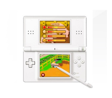 Laura's Passie: Dierenarts, Nintendo DS