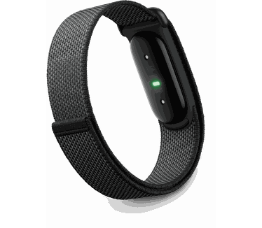 Google Fitbit Air, Zwart (Zwart)