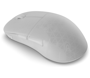 Endgame Gear XM2w 4k v2