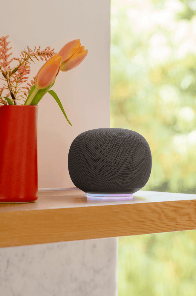 Google Home Speaker