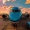 avatar van XfadeR