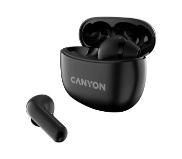 Canyon CNS-TWS5B