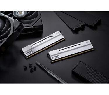 Klevv 32 GB DDR5-6000 (2x 16 GB) Kit werkgeheugen