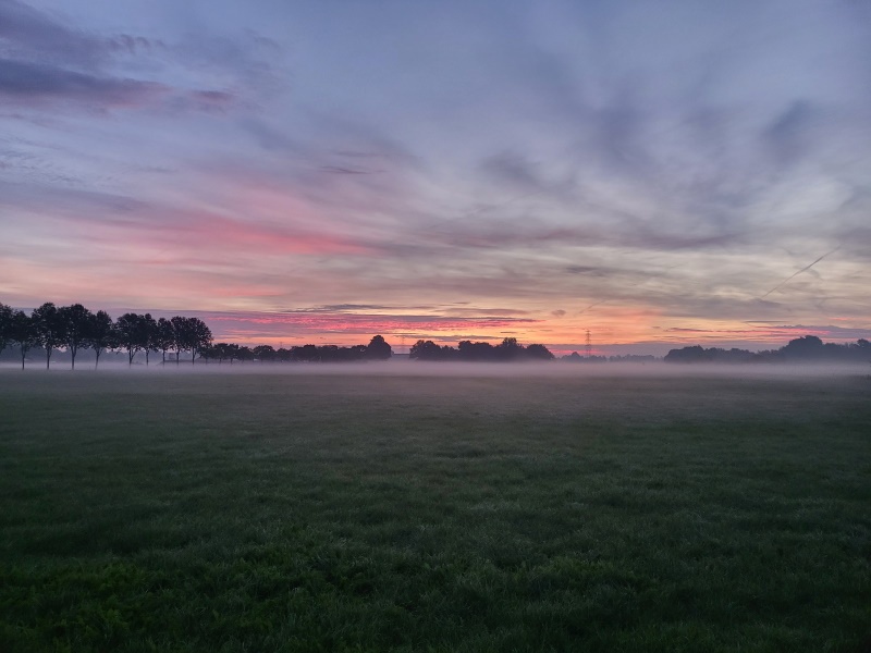 Afbeeldingslocatie: https://tweakers.net/i/4tY3nVqfj_JcAs57biaq2_bYIPE=/full-fit-in/4920x3264/filters:max_bytes(3145728):no_upscale():strip_icc():fill(white):strip_exif()/f/image/oPb5mQydv4NsGWfZVO7GYVkF.jpg?f=user_large