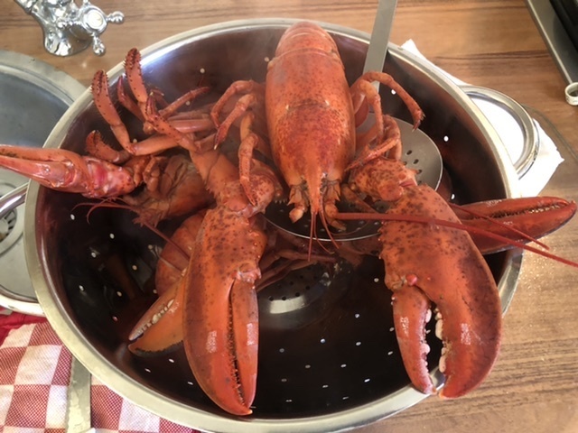 Afbeeldingslocatie: https://tweakers.net/i/4uxwbBeAXdoz7qaJQj415qT-VAc=/full-fit-in/4920x3264/filters:max_bytes(3145728):no_upscale():strip_icc():fill(white):strip_exif()/f/image/2W8QvExJeYIzZp3ybBUEzPUw.jpg?f=user_large