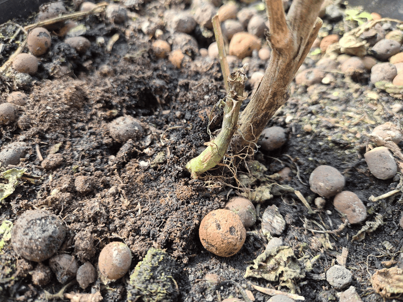 Afbeeldingslocatie: https://tweakers.net/i/4v5a7e_EjnFuKspyyJEXbezFSkE=/800x/filters:strip_exif()/f/image/VzXYTkO2YBNS7gEfEPAM0vG9.png?f=fotoalbum_large