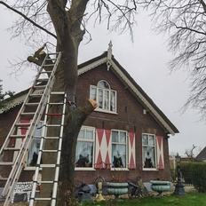Afbeeldingslocatie: https://tweakers.net/i/4vQhiRFAHGSoBMbUN9OQ2o5HpWo=/232x232/filters:strip_icc():strip_exif()/f/image/Y8Lia96K9AOpCLh38Q5rY353.jpg?f=fotoalbum_tile
