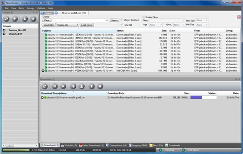 NewsBin Pro 6 bèta 1 screenshot