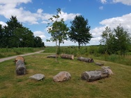 Overige foto's