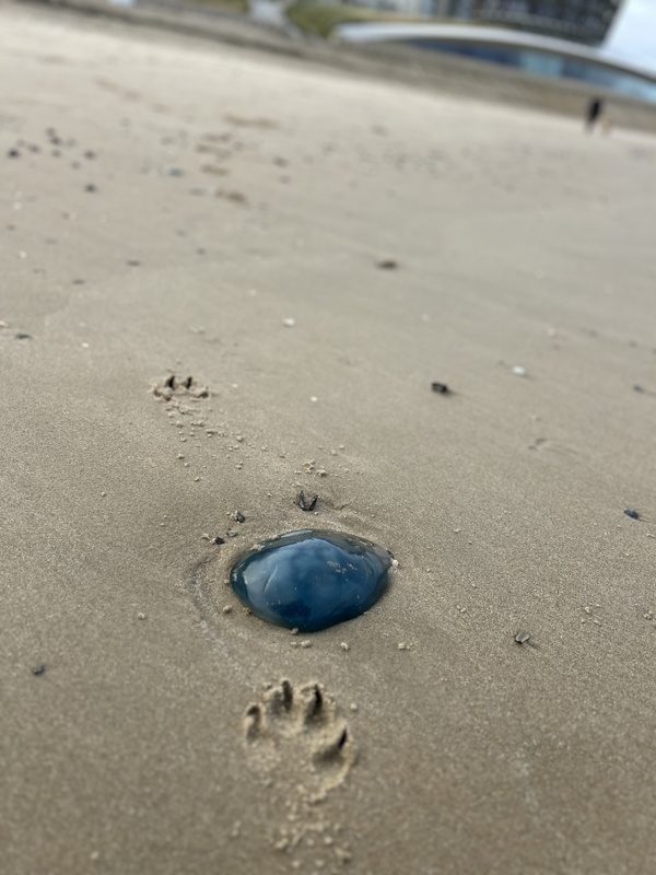 Afbeeldingslocatie: https://tweakers.net/i/51gi42VbNxIx-G5FEh-sViWciGw=/x800/filters:strip_icc():strip_exif()/f/image/oOPw8FqR96lpHWPvJyuzttEy.jpg?f=fotoalbum_large