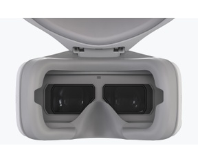 DJI Goggles