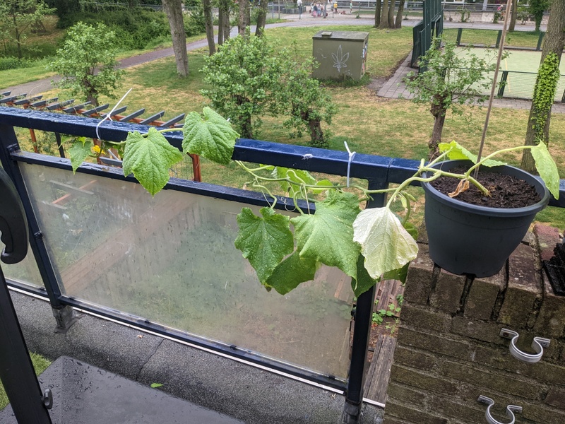 Afbeeldingslocatie: https://tweakers.net/i/51tIT7iE0ZTQA2nkW_NWpml-eA8=/800x/filters:strip_icc():strip_exif()/f/image/9wLeRGbNQ7h4gP2AA1moBfXV.jpg?f=fotoalbum_large