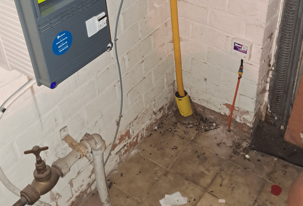 Afbeeldingslocatie: https://tweakers.net/i/54y1bIu8xGP9exdXeQYHIf9PNaM=/full-fit-in/4000x4000/filters:no_upscale():fill(white):strip_exif()/f/image/WNgO63P0pcDZDV6dh0tVLJXD.png?f=user_large