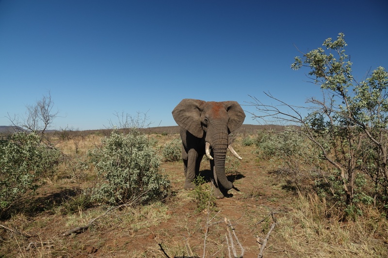 Afbeeldingslocatie: https://tweakers.net/i/56N8CT2C9C2zIuL-dcY6wSfj7t4=/800x/filters:strip_icc():strip_exif()/f/image/q3X4FLZIMjIyPTlkYGOPNhRe.jpg?f=fotoalbum_large