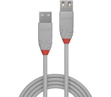 Lindy Anthra Line Grijs