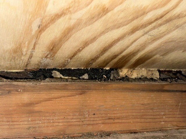 Afbeeldingslocatie: https://tweakers.net/i/5Dw4CeBqrbNxrQpJMxeMksyUn2Q=/fit-in/4920x3264/filters:max_bytes(3145728):no_upscale():strip_icc():strip_exif()/f/image/S2OWWncgb3v3Dpa3LpOxm4hH.jpg?f=user_large