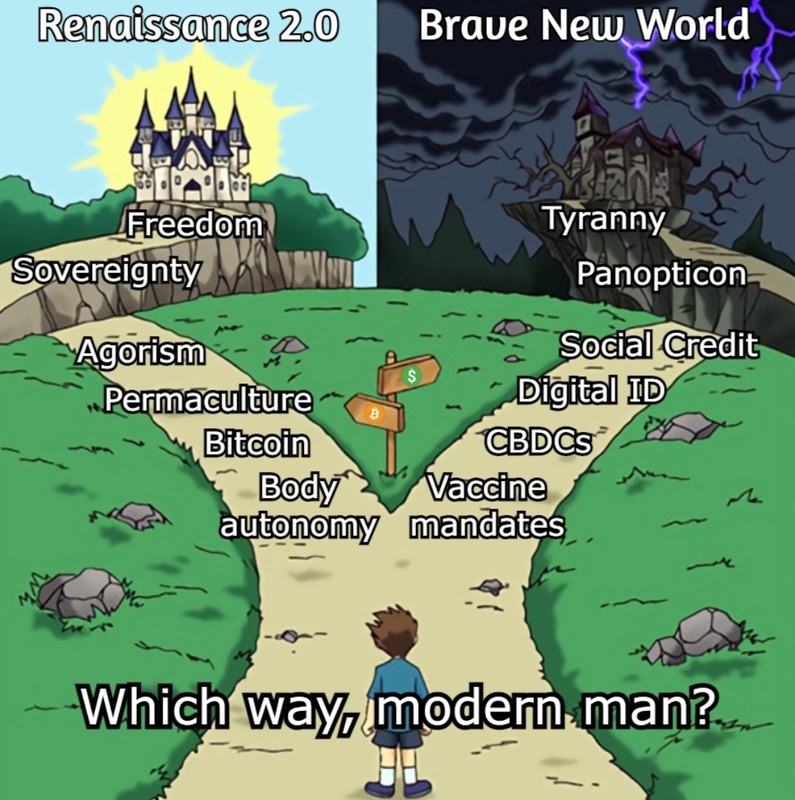 Afbeeldingslocatie: https://tweakers.net/i/5IFWwWQaTgn0wjPWU8nHy6YTsKg=/x800/filters:strip_icc():strip_exif()/f/image/t5ZVnULUMstb6zzUo4h50hbG.jpg?f=fotoalbum_large