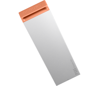 Lenovo PS8S 2TB Zilver