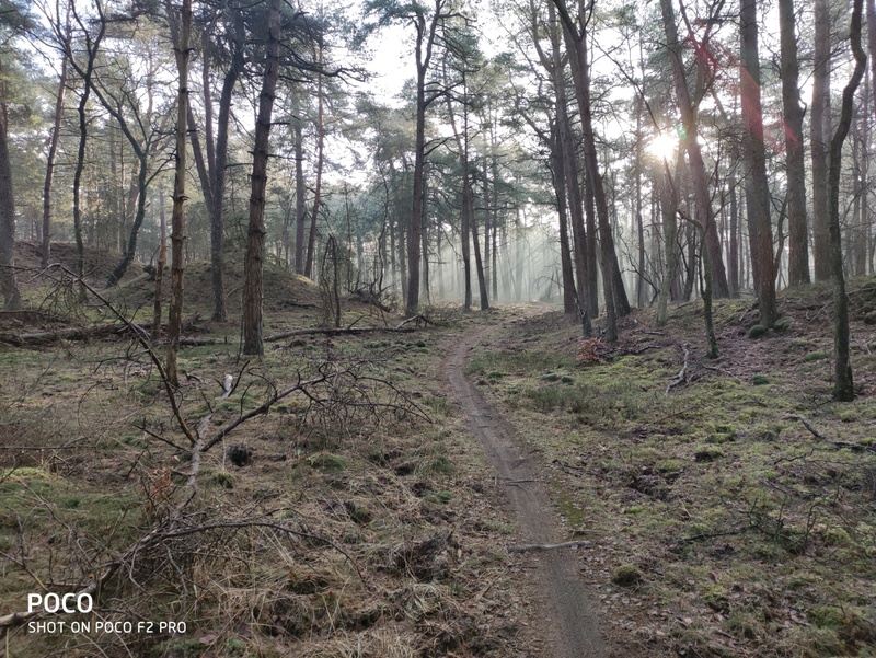 Afbeeldingslocatie: https://tweakers.net/i/5NZbcVcbLw448F7KbN5ffTxjxs4=/800x/filters:strip_icc():strip_exif()/f/image/gOWhmtmbDkYhcHiCMVPdQiAv.jpg?f=fotoalbum_large