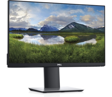 Dell P2219H