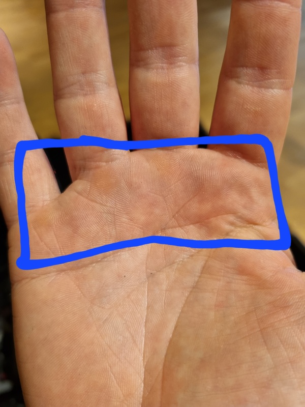 Afbeeldingslocatie: https://tweakers.net/i/5Q-RjHb8l5DZvdv8gr-GlN7_UXw=/x800/filters:strip_icc():strip_exif()/f/image/dAPvgIzPKgSWQuJaVKkmqMyp.jpg?f=fotoalbum_large