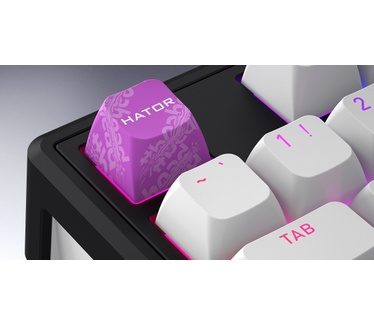 HATOR Skyfall Wireless 100