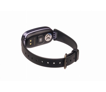 Garett Electronics Diana