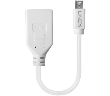Lindy Kabel / Adapter Wit
