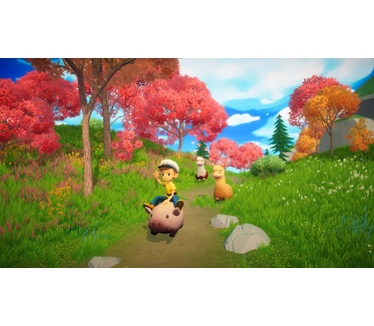 Everdream Valley