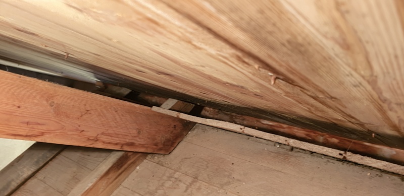 Afbeeldingslocatie: https://tweakers.net/i/5Ur50Hun24H-HwSTZgJcY1R1R4s=/800x/filters:strip_icc():strip_exif()/f/image/YUTwsPUy531D7IFij9YUVvkJ.jpg?f=fotoalbum_large