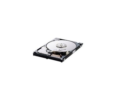 Samsung Spinpoint M80 HM160JI