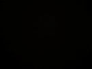 Camera op iOS 13.4 op iPhone SE 2020