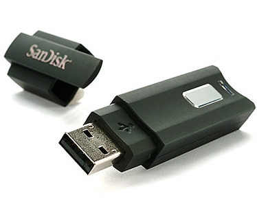 Sandisk Cruzer Enterprise 2GB Zwart