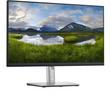 Dell P2422H