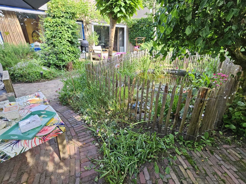 Afbeeldingslocatie: https://tweakers.net/i/5ioDfQ1F7iYh0ollD7V4SFcZ6Pg=/800x/filters:strip_icc():strip_exif()/f/image/DjtUIAQn1vlc9uJDsjAXxbmD.jpg?f=fotoalbum_large
