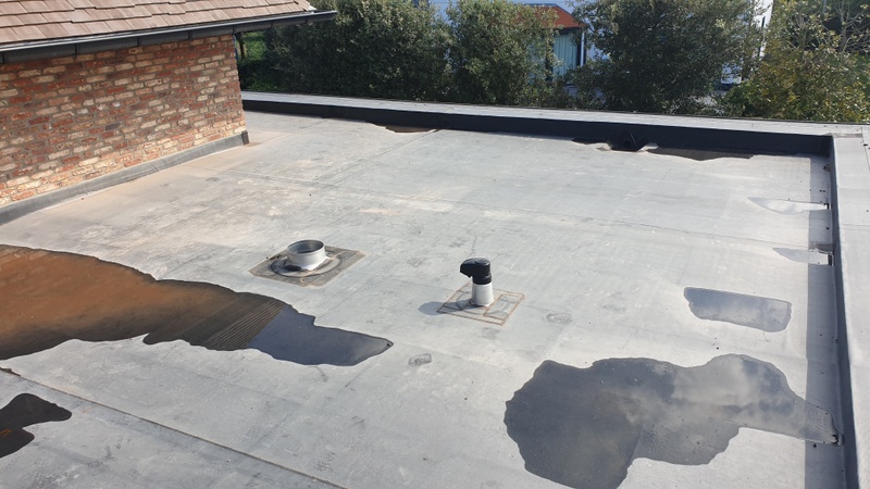 Afbeeldingslocatie: https://tweakers.net/i/5jDe6aspSmpdllc_6K4XgGuu79k=/800x/filters:strip_icc():strip_exif()/f/image/Zb0ryUs3KjSCK2Y8KxH06Ok0.jpg?f=fotoalbum_large