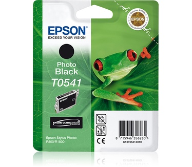 Epson inktpatroon Photo Black T0541 Ultra Chrome Hi-Gloss