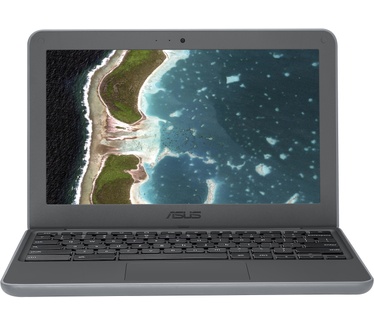 Asus Chromebook C202SA-GJ0061