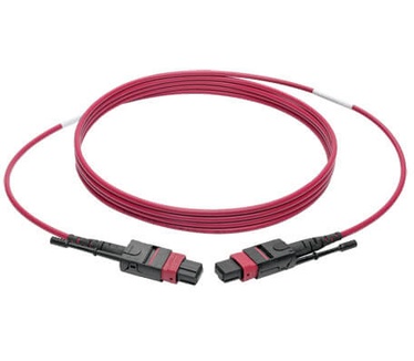 Tripp-Lite N845-02M-12-MG Magenta, Zwart