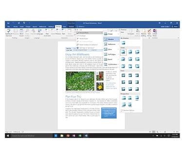 Microsoft Office Home & Business 2016, FR