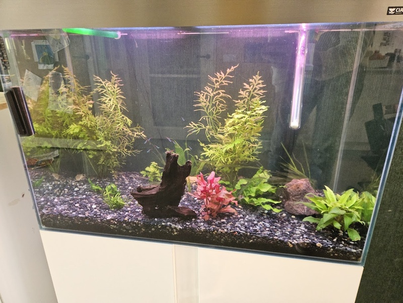 Afbeeldingslocatie: https://tweakers.net/i/5uLkEUrRdHkgC2ZreRW6ECXz7Fo=/800x/filters:strip_icc():strip_exif()/f/image/hhJ1Rb0T12RfVS4ElZSah5wg.jpg?f=fotoalbum_large