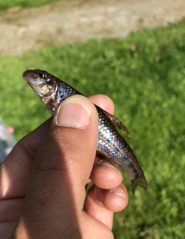 Afbeeldingslocatie: https://tweakers.net/i/5uSUYXcCkYKykc-IfeMME9b_FuA=/x800/filters:strip_icc():strip_exif()/f/image/kcgpzaRY2DSb1a8LhciaYt8D.jpg?f=fotoalbum_large