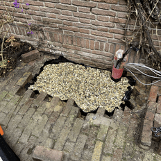 Afbeeldingslocatie: https://tweakers.net/i/5vNs961AC9exQ44EnNHHxZzAV10=/232x232/filters:strip_exif()/f/image/2Jhhz971BvYkDAhQWL8zh6zv.png?f=fotoalbum_tile