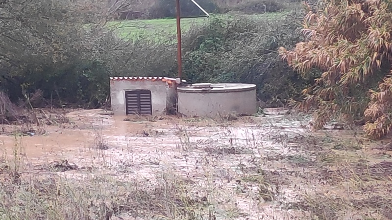 Afbeeldingslocatie: https://tweakers.net/i/5xGwnketAhagcLEcm_ci5UFL3MQ=/800x/filters:strip_icc():strip_exif()/f/image/36LD3hSfvBK8B3sdmMKYN1LZ.jpg?f=fotoalbum_large